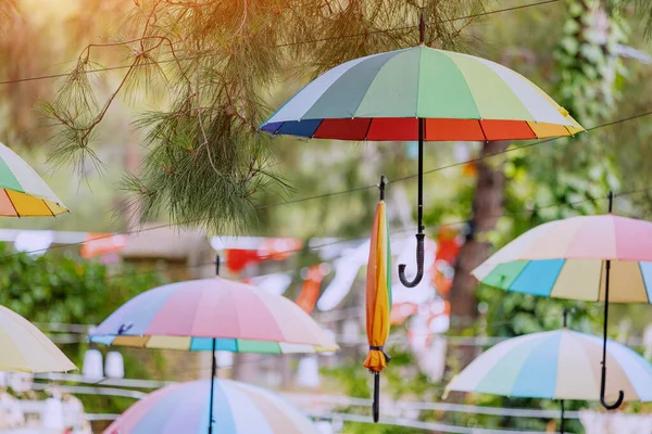 Hanging colorful umbrellas in city park as decoration