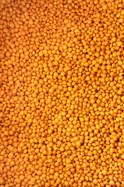 Pile Heap Red Lentils Food Texture Background Helthy Grain Reach — Fotografia de Stock