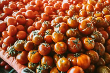 Assortment of red ripe tomatoes on the counter of the farmer's organic rural market in the village. Rich harvest and agricultural produce