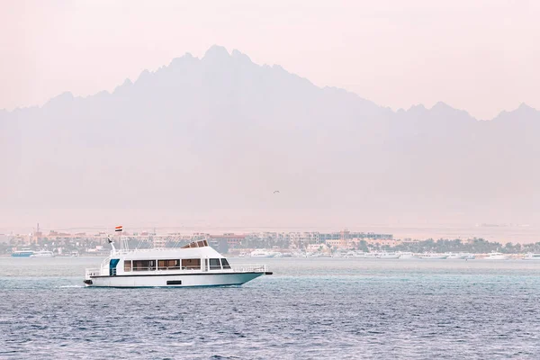 Cruise Yachts Boats Resort Town Hurghada Egypt — Stockfoto