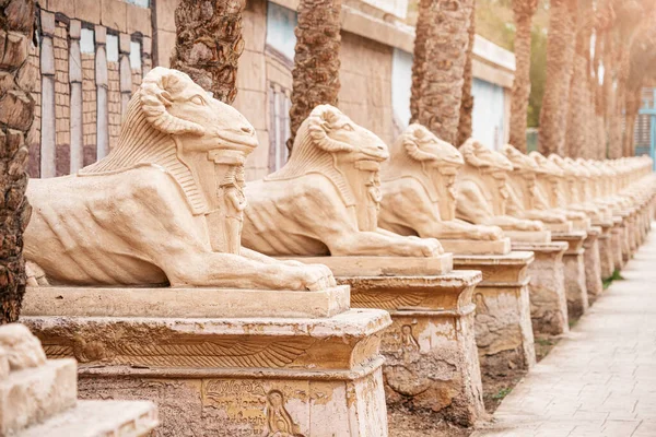 January 2022 Hurghada Egypt Restored Alley Karnak Sphinxes Goat Head — 스톡 사진