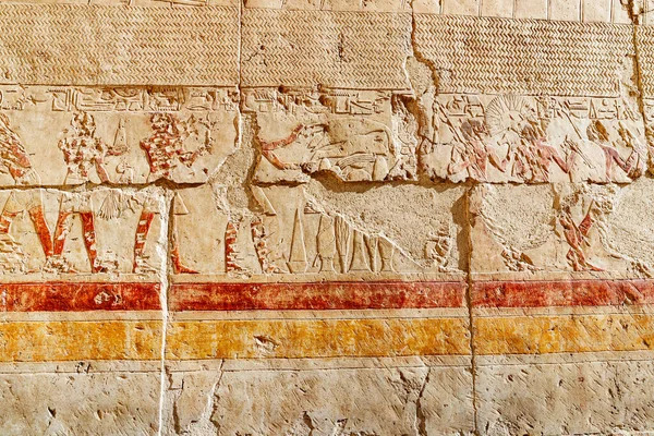 Egyptian Wall Murals Frescoes Paintings Hatshepsut Temple Luxor Religious Mysteries — 图库照片