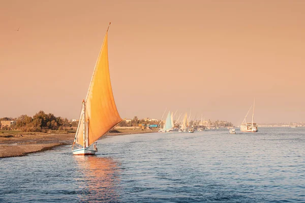 Felucca Traditional Sailing Boat Used Tourist Transport Cruise Nile Luxor — Stockfoto