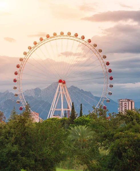 stock image Ferris wheel in amusement park against sky background. Entertainment and fair concept. Tree tops in foreground