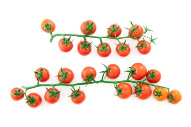 Delicious and rich tomatoes on a branch with drops of water, isolated on a white background. Agricultural harvest and daily healthy food