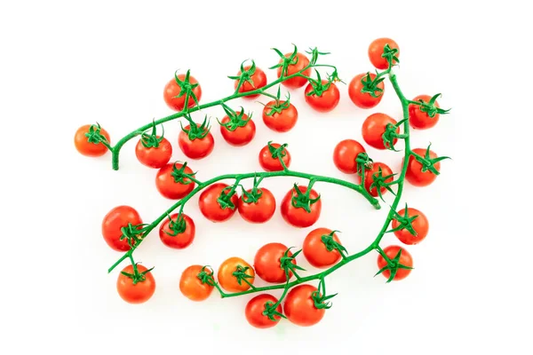 Delicious and rich tomatoes on a branch with drops of water, isolated on a white background. Agricultural harvest and daily healthy food