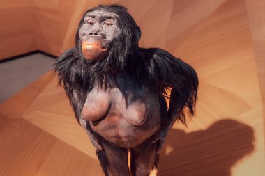 22 Temmuz 2022, Neandertal Müzesi, Almanya: Lucy - Australopithecus afarensis insan atası Charles Darwin Evrim Teorisi ve antropoloji bilimi