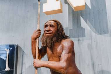 22 Temmuz 2022, Neandertal Müzesi, Almanya: Müzede mızraklı mağara adamı mağara adamının detaylı balmumu figürü. İnsan Sapiens Antropoloji Bilimi ve Evrim Teorisi