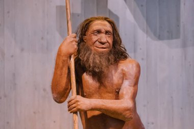 22 July 2022, Neanderthal museum, Germany: Detailed wax figure of Neanderthal prehistoric caveman with spear in the museum. Human Sapiens anthropology science and theory of Evolution clipart