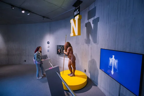 Juli 2022 Düsseldorf Besucherschülerin Macht Führung Und Exkursion Neanderthal Museum — Stockfoto