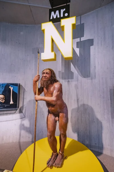 Julio 2022 Neanderthal Museum Germany Detailed Wax Figure Neanderthal Prehistoric —  Fotos de Stock