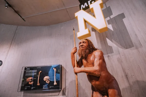 Juli 2022 Neandertalsmuseet Tyskland Detaljerad Vaxbild Neandertalarnas Förhistoriska Grottmänniska Med — Stockfoto
