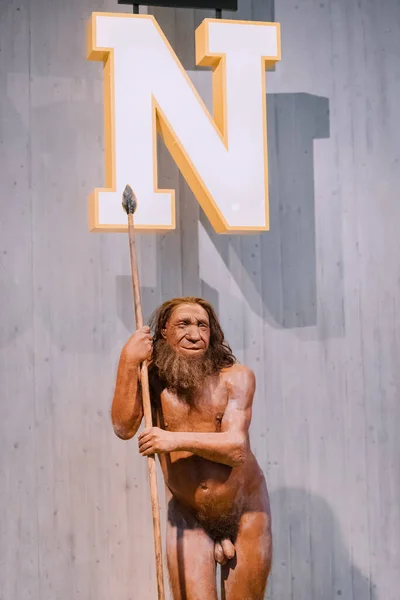 Juli 2022 Neandertalsmuseet Tyskland Detaljerad Vaxbild Neandertalarnas Förhistoriska Grottmänniska Med — Stockfoto