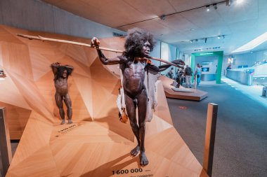 22 Temmuz 2022, Neanderthal Müzesi, Almanya: Kenyalı bir Homo Erectus Turkana Çocuk avcısının detaylı balmumu figürleri. Sapiens Antropoloji Bilimi ve Evrim Teorisi