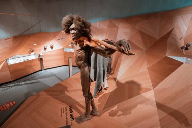 22 Temmuz 2022, Neanderthal Müzesi, Almanya: Kenyalı bir Homo Erectus Turkana Çocuk avcısının detaylı balmumu figürleri. Sapiens Antropoloji Bilimi ve Evrim Teorisi