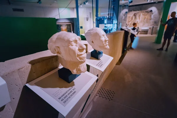 Июля 2022 Музей Неандертальцев Германия Реконструкция Черепа Лица Неандертальца Доисторического — стоковое фото