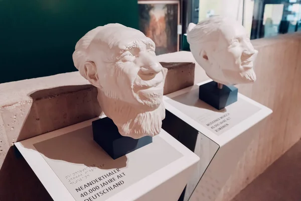 Července 2022 Neandrtálské Muzeum Německo Rekonstrukce Lebky Tváře Neandrtálce Pravěkého — Stock fotografie