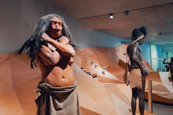 Julio 2022 Neanderthal Museum Alemania Detailed Wax Figures Neanderthal Prehistoric — Foto de Stock