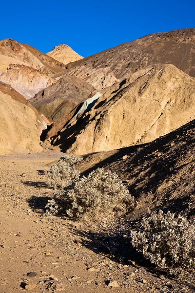 Palette d'artiste dans la Vallée de la Mort — Photo