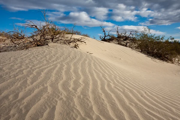 Sanddünen von Mesquite — Stockfoto