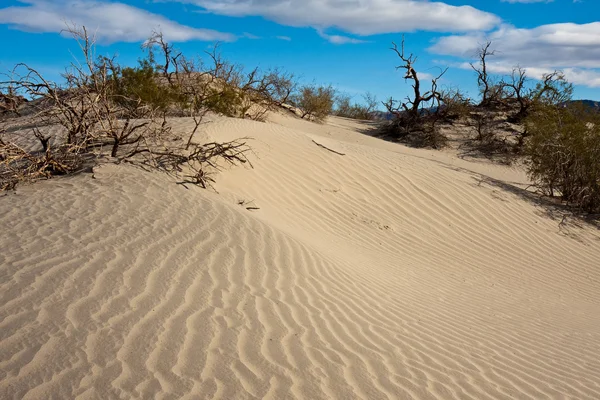 Sanddünen von Mesquite — Stockfoto