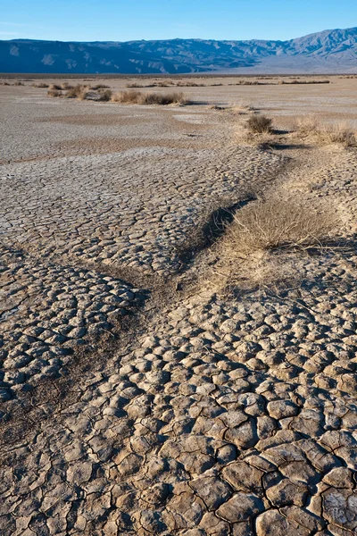 Cracked Lake Bed — Stock Photo, Image