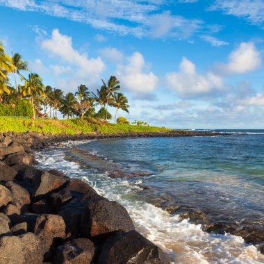 güzel kauai beach