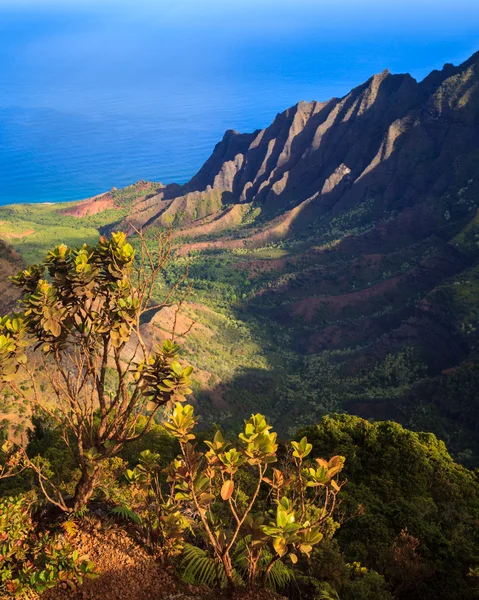 Mooie kalalau vallei — Stockfoto