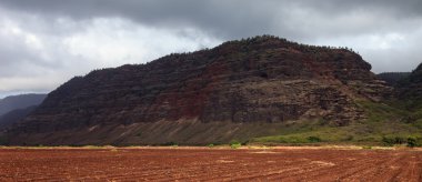 kauai manzara