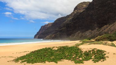 Polihale State Park clipart