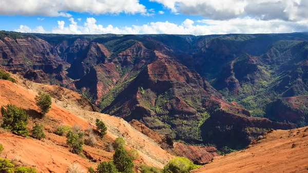 Panorama de Waimea canyon — Fotografia de Stock