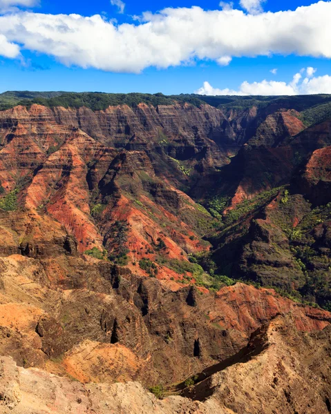 Каньйон Waimea — стокове фото