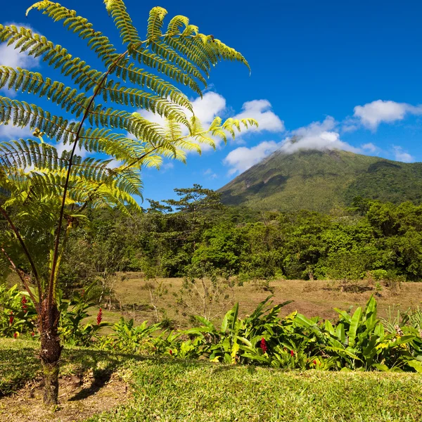 Costa Rica краєвид — стокове фото