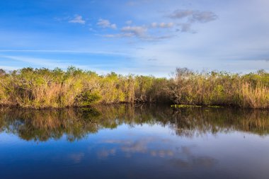 Everglades National Park clipart
