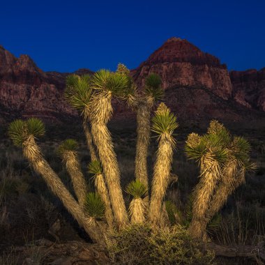 hafif boyalı Maltepe
