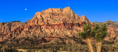 Red Rock Canyon pano