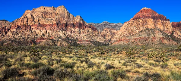 Pano di canyon di roccia rossa — Foto Stock