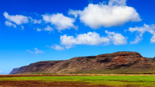 Terrenos agrícolas em Kauai — Fotografia de Stock