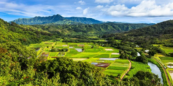 Panorama de la vallée de Hanalei — Photo