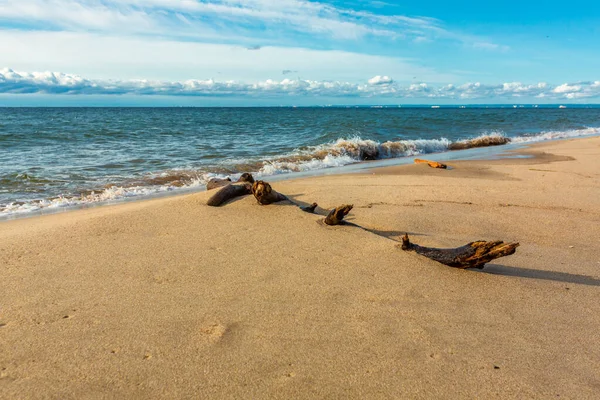 Stary Kufer Brzegu Morza Bałtyckiego Malownicze Dryfujące Drewno Piasku Hel — Zdjęcie stockowe