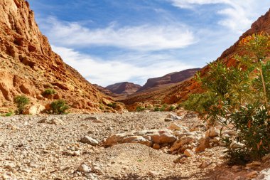 Tinghir (Tinerhir) kasabası yakınlarındaki Yüksek Atlas 'ta Todra Gorge' un Rocky kırmızı yamaçlarında. Fas, Afrika