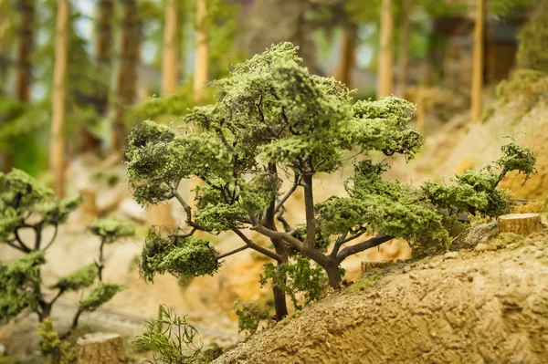 Model trees — Stock Photo, Image