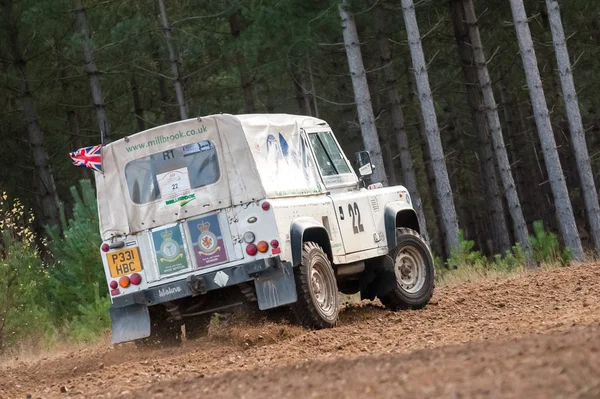 Lobo Land Rover — Foto de Stock