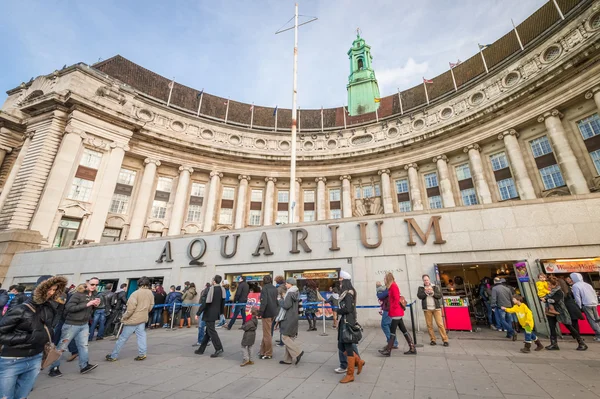 Londra Akvaryumu — Stok fotoğraf