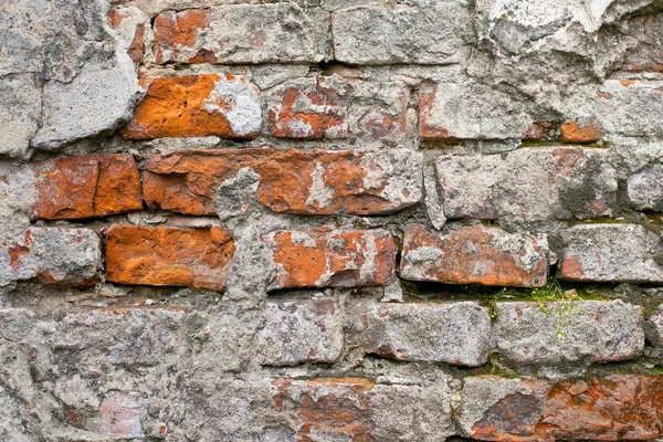 Muro de ladrillo — Foto de Stock