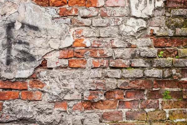 Brick wall — Stock Photo, Image