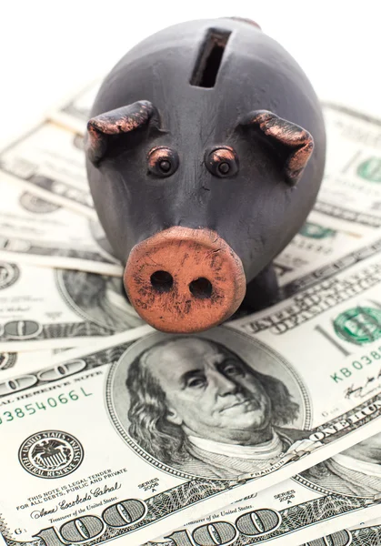 Money and piggy bank — Stock Photo, Image