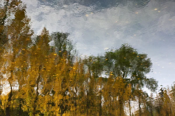 Landscape reflection in lake — Stock Photo, Image