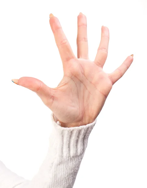 Open vrouw handAçık kadın eli — Stockfoto