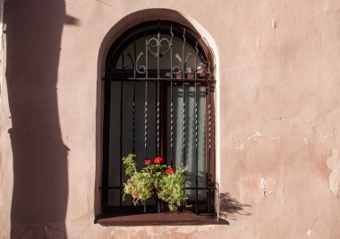 pencere ve çiçek kutusu